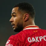 Cody Gakpo Liverpool Mantan Pelatih Man United Ungkap temp