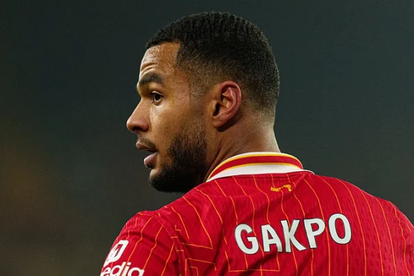 Cody Gakpo Liverpool Mantan Pelatih Man United Ungkap temp