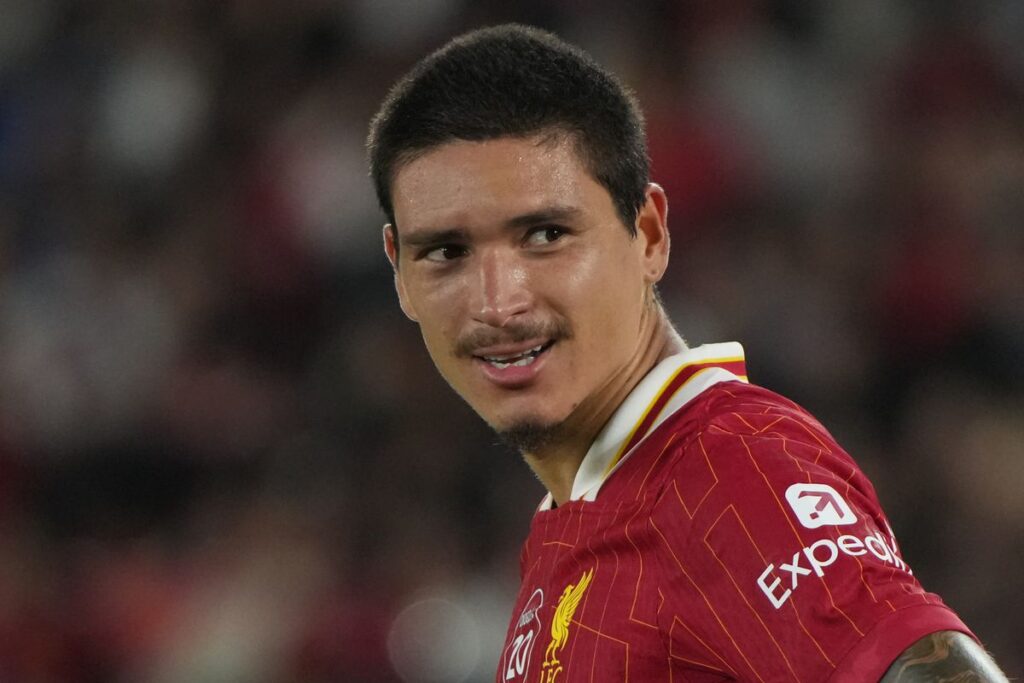 Profil Pemain Darwin Nunez Liverpool